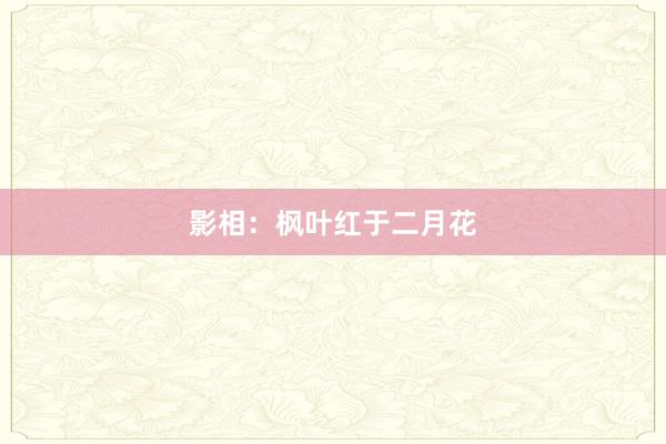 影相:枫叶红于二月花